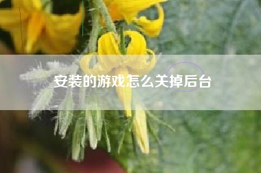 安装的游戏怎么关掉后台