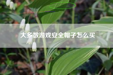 大多数游戏安全帽子怎么买