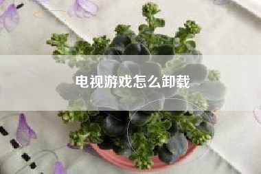 电视游戏怎么卸载
