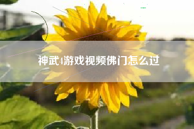 神武4游戏视频佛门怎么过