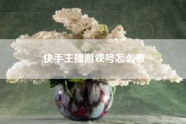 快手主播游戏号怎么查