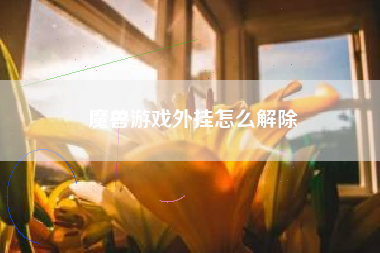 魔兽游戏外挂怎么解除