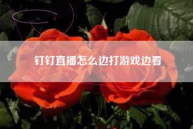 钉钉直播怎么边打游戏边看