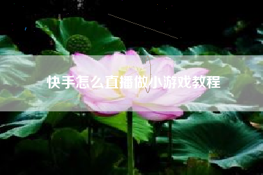 快手怎么直播做小游戏教程