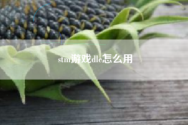 stm游戏dlc怎么用
