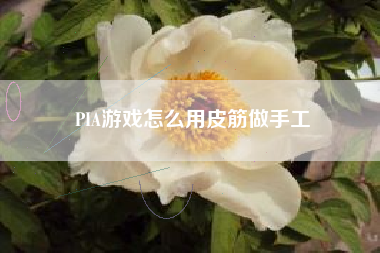 PIA游戏怎么用皮筋做手工