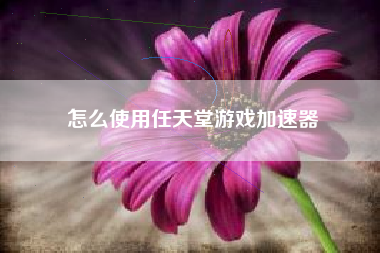 怎么使用任天堂游戏加速器