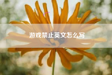 游戏禁止英文怎么写