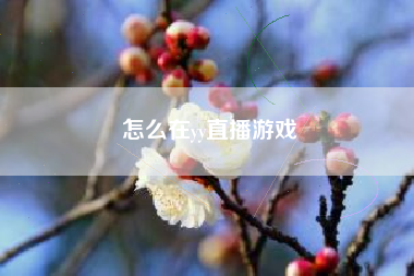 怎么在yy直播游戏