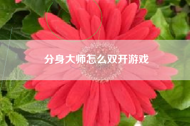 分身大师怎么双开游戏