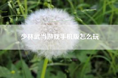 少林武当游戏手机版怎么玩