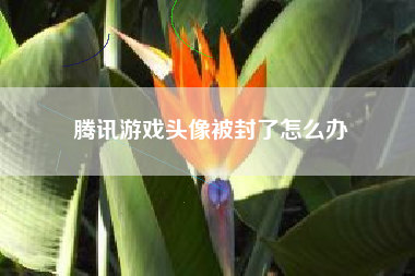 腾讯游戏头像被封了怎么办