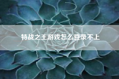 特战之王游戏怎么登录不上