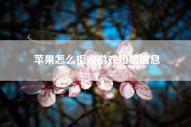 苹果怎么拒收游戏短信信息