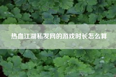 热血江湖私发网的游戏时长怎么算
