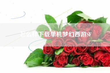 怎么样下载单机梦幻西游SF