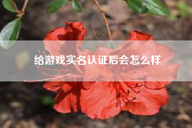 给游戏实名认证后会怎么样