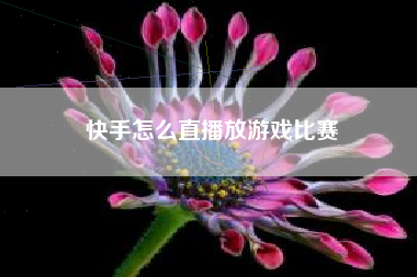 快手怎么直播放游戏比赛