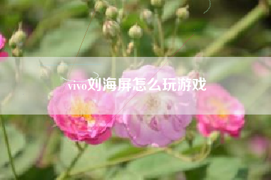 vivo刘海屏怎么玩游戏