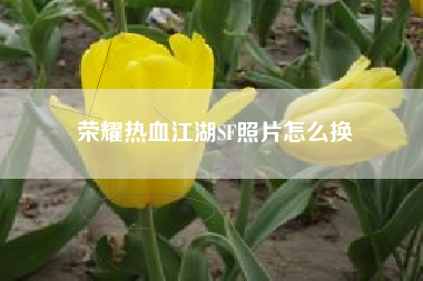 荣耀热血江湖SF照片怎么换
