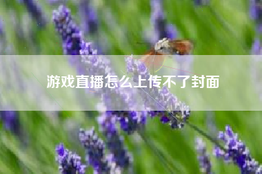 游戏直播怎么上传不了封面