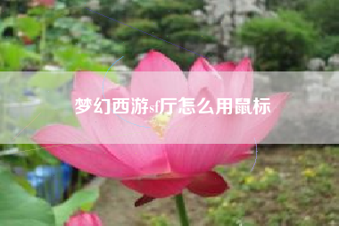 梦幻西游sf厅怎么用鼠标