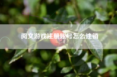 阅文游戏注册账号怎么注销