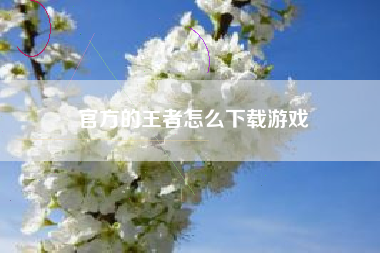 官方的王者怎么下载游戏