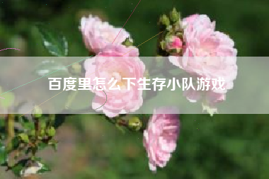 百度里怎么下生存小队游戏