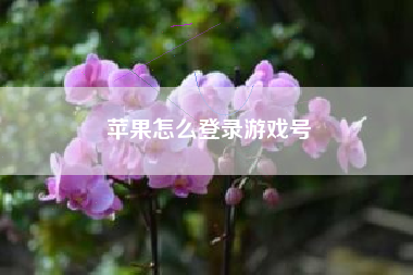 苹果怎么登录游戏号
