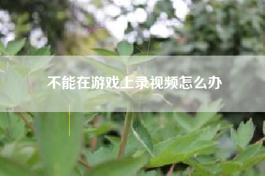 不能在游戏上录视频怎么办