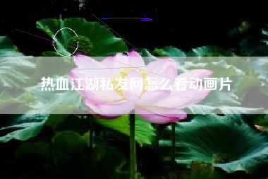 热血江湖私发网怎么看动画片