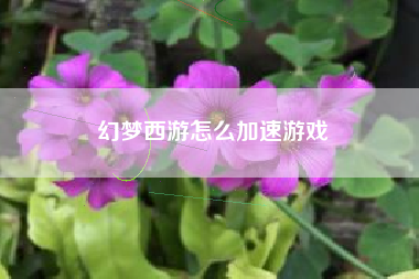 幻梦西游怎么加速游戏
