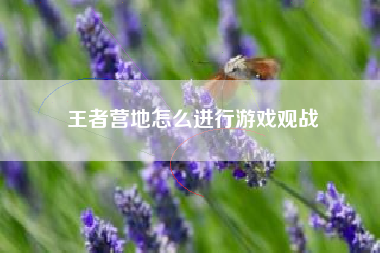 王者营地怎么进行游戏观战