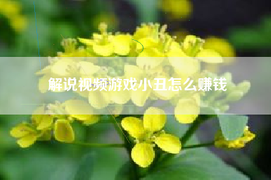 解说视频游戏小丑怎么赚钱
