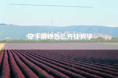 牵手游戏怎么开挂教学