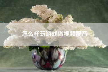 怎么样玩游戏做视频配音