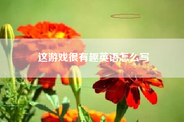 这游戏很有趣英语怎么写