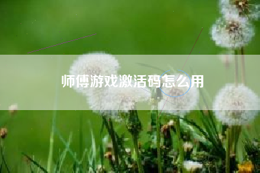 师傅游戏激活码怎么用