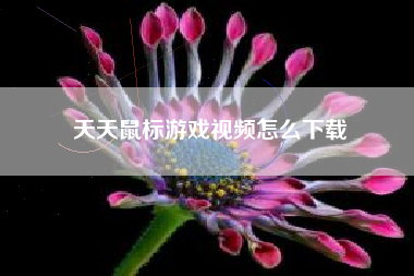 天天鼠标游戏视频怎么下载