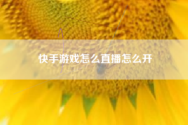 快手游戏怎么直播怎么开