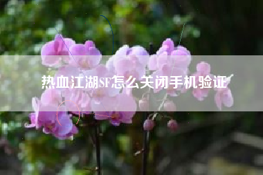 热血江湖SF怎么关闭手机验证