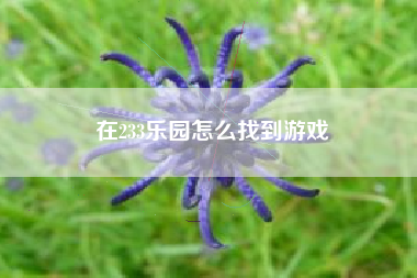 在233乐园怎么找到游戏