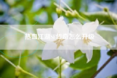 热血江湖SF传奇怎么升级