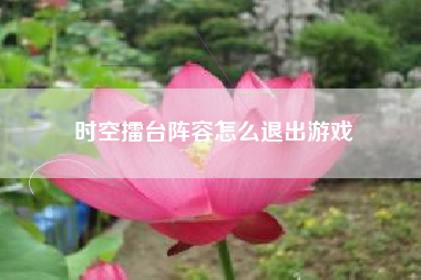 时空擂台阵容怎么退出游戏