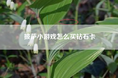 披萨小游戏怎么买钻石卡