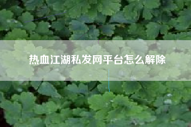 热血江湖私发网平台怎么解除
