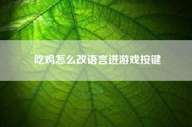 吃鸡怎么改语言进游戏按键