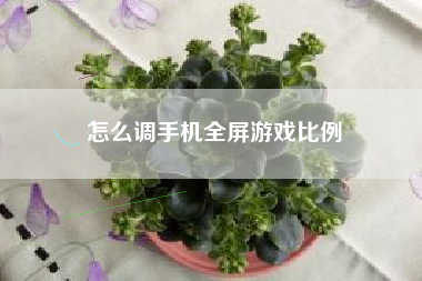 怎么调手机全屏游戏比例