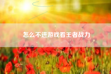 怎么不进游戏看王者战力